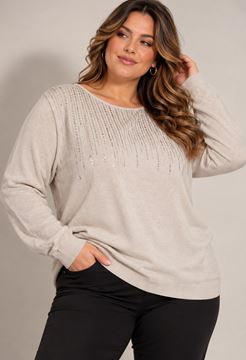 Immagine di PLUS SIZE ROUNDNECK SWEATER WITH RHINESTONES